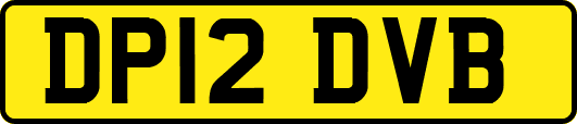DP12DVB