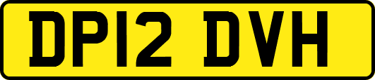 DP12DVH