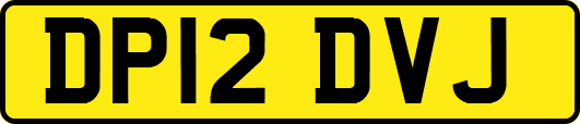 DP12DVJ