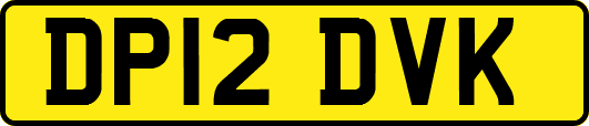 DP12DVK