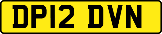 DP12DVN