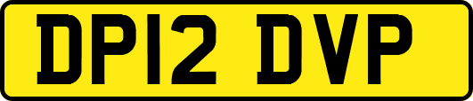 DP12DVP