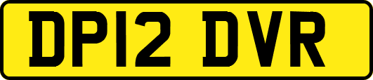 DP12DVR