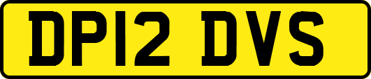 DP12DVS