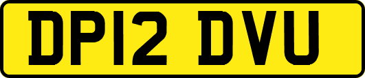 DP12DVU