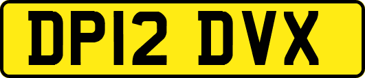 DP12DVX