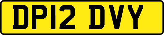 DP12DVY