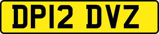 DP12DVZ