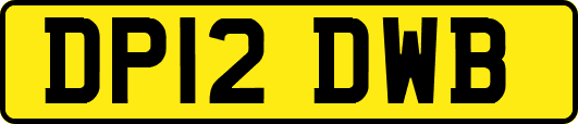 DP12DWB