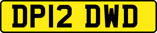 DP12DWD