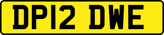 DP12DWE