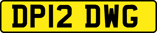 DP12DWG