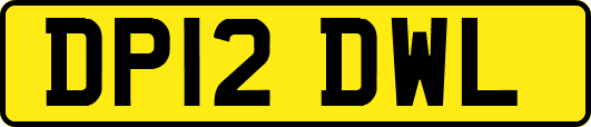 DP12DWL