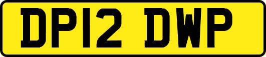 DP12DWP