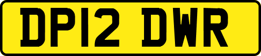 DP12DWR