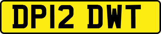 DP12DWT