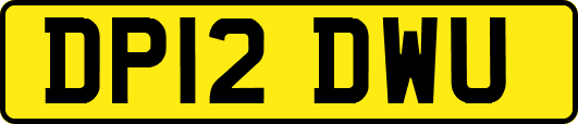 DP12DWU