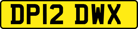 DP12DWX