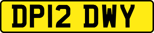 DP12DWY