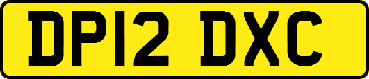 DP12DXC
