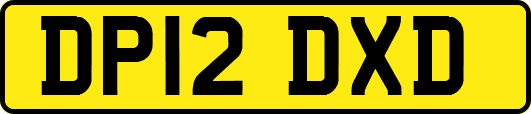 DP12DXD