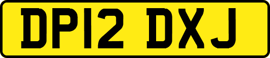 DP12DXJ