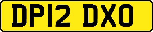 DP12DXO