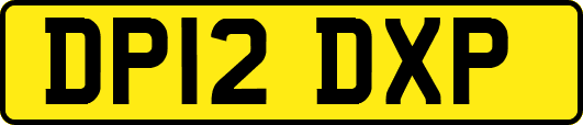 DP12DXP