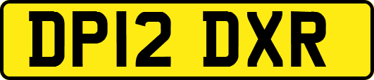 DP12DXR
