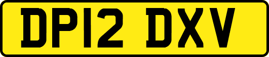 DP12DXV
