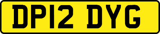 DP12DYG