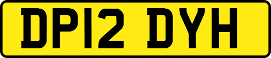 DP12DYH