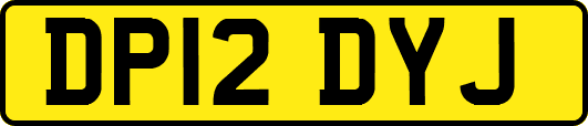 DP12DYJ