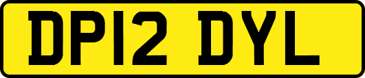 DP12DYL