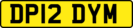 DP12DYM