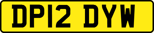 DP12DYW