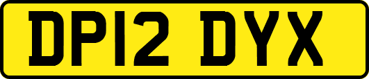 DP12DYX