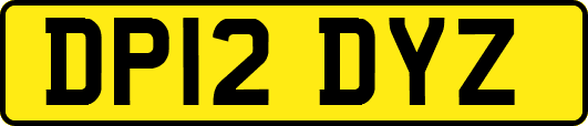 DP12DYZ