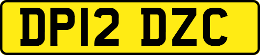 DP12DZC