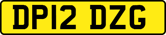 DP12DZG
