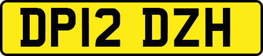 DP12DZH
