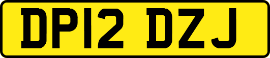 DP12DZJ