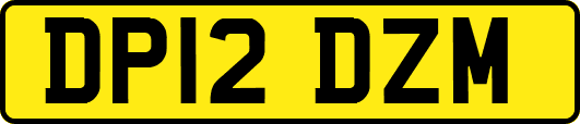 DP12DZM