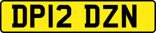 DP12DZN