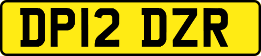 DP12DZR