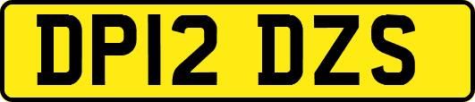 DP12DZS