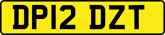 DP12DZT