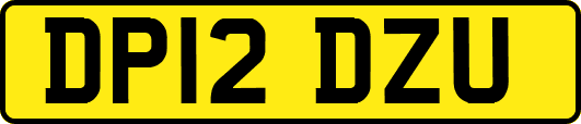 DP12DZU