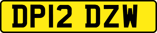 DP12DZW