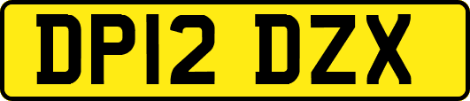 DP12DZX